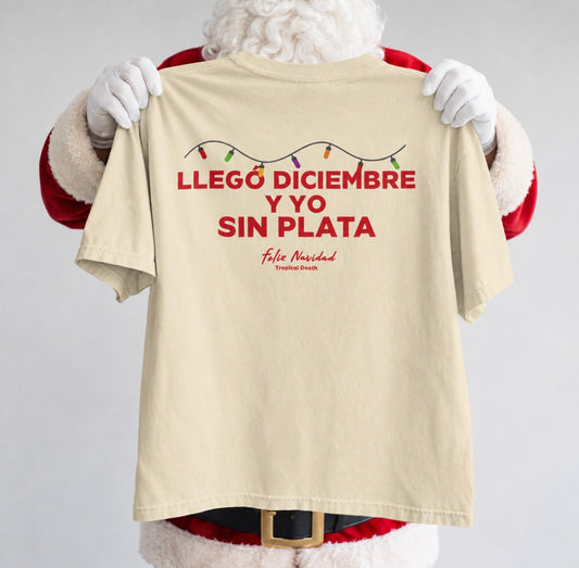 Llegó Diciembre Y Yo Sin Plata