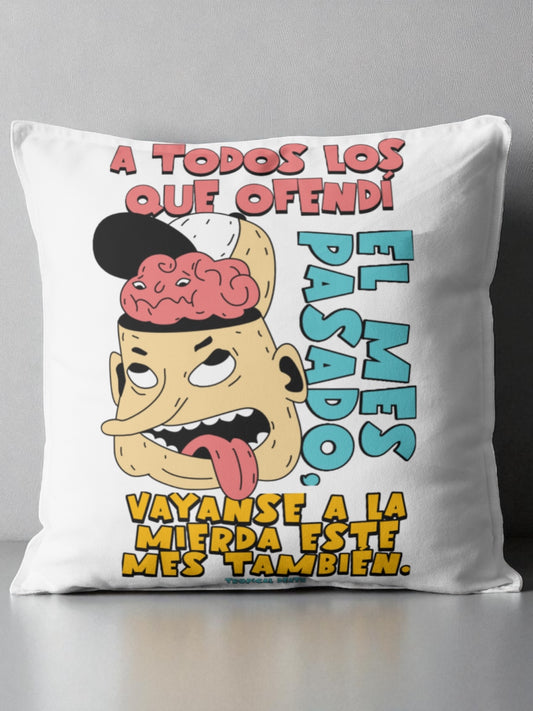 Cojín A Todos Los Que Ofendí