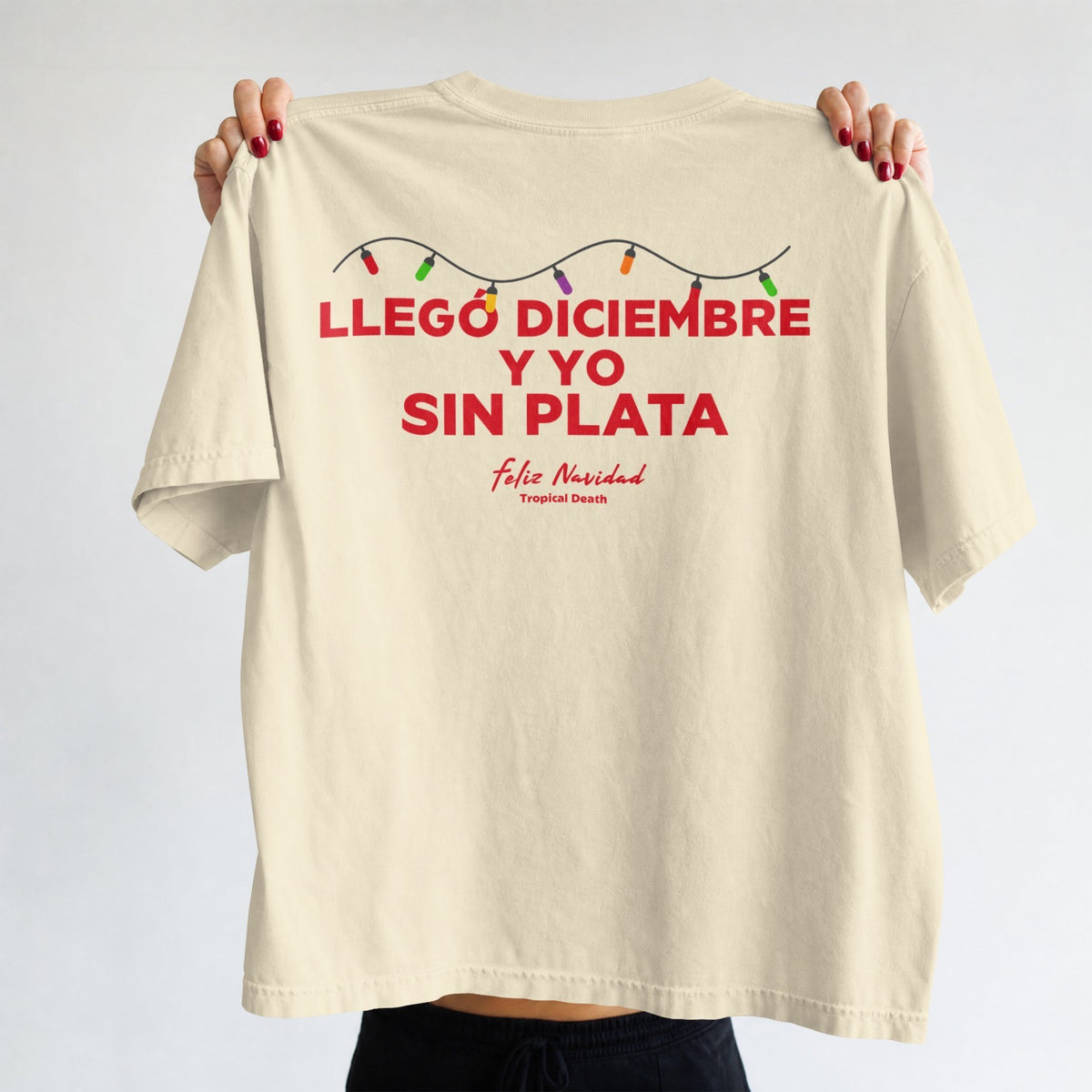 Llegó Diciembre Y Yo Sin Plata